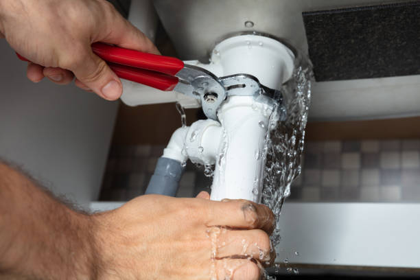 Best Flooded house restoration  in Calumet Park, IL