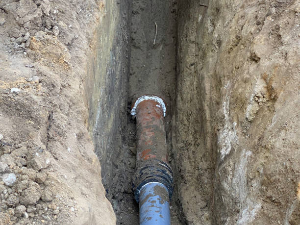 Best Flood damage cleanup  in Calumet Park, IL