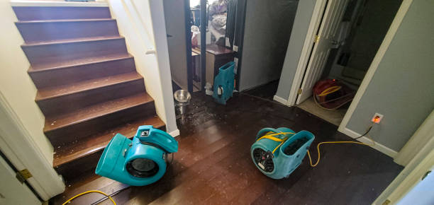 Best Residential water damage restoration  in Calumet Park, IL
