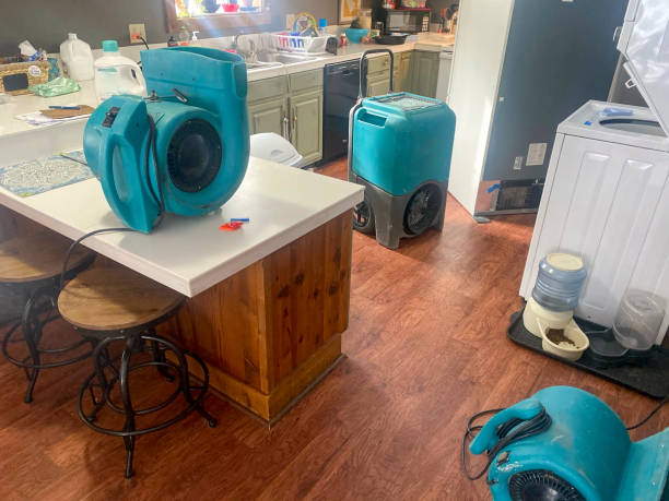 Best Emergency water damage restoration  in Calumet Park, IL