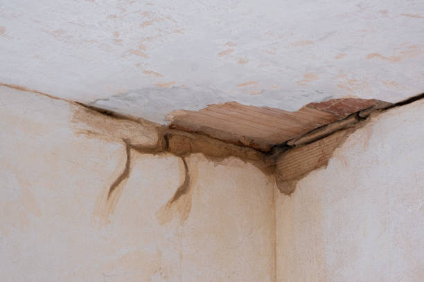 Best Local water damage restoration  in Calumet Park, IL