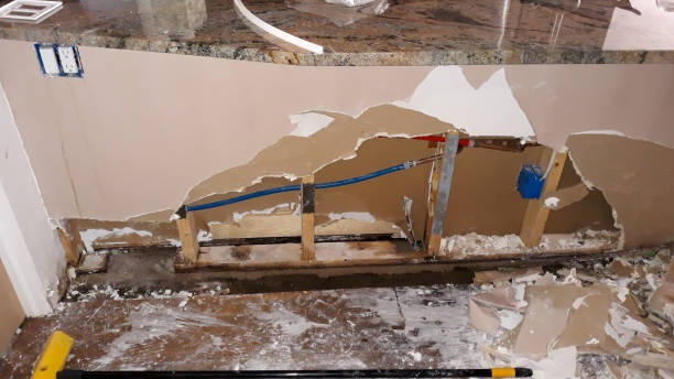 Best Carpet water damage restoration  in Calumet Park, IL