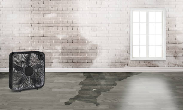 Calumet Park, IL Water damage restoration Pros
