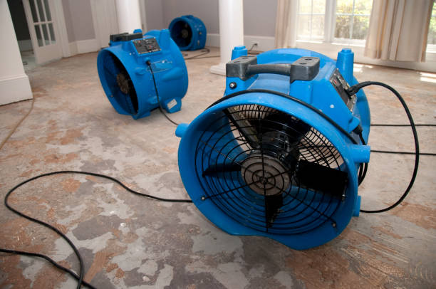 Best Water damage restoration company  in Calumet Park, IL