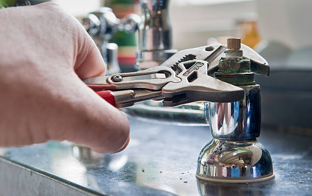 Best Mold removal after water damage  in Calumet Park, IL