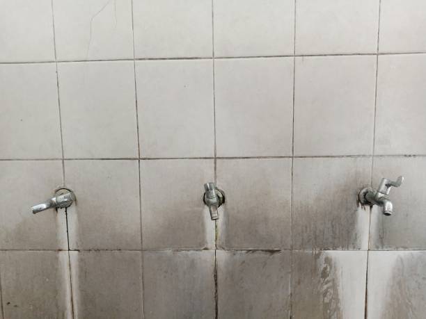 Best Sewage cleanup and water damage restoration  in Calumet Park, IL