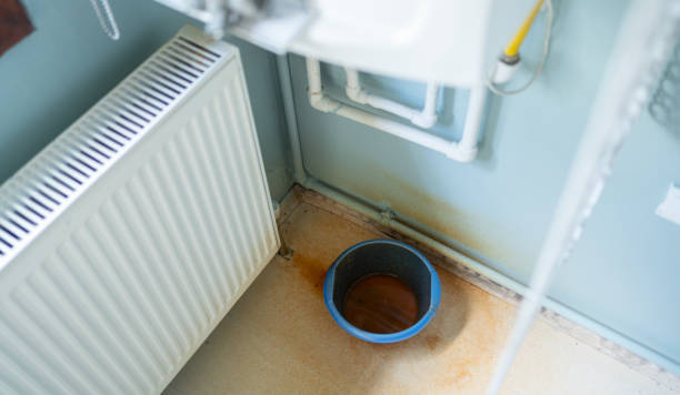 Best 24/7 water damage repair  in Calumet Park, IL