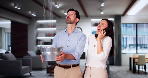 Best Flood restoration services  in Calumet Park, IL