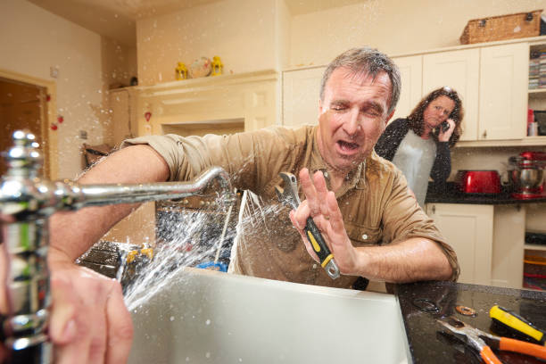 Best Fire Damage Restoration  in Calumet Park, IL